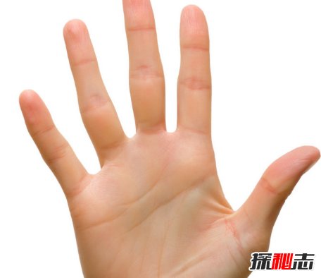 为什么人的五个手指头不一样长?五个手指分别叫什么
