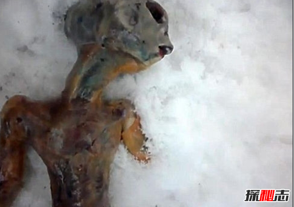 俄罗斯女孩用冰箱保存2年处星人尸体(长60厘米)