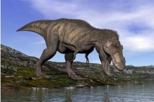 世界上最古老蛋，2.8亿年前的史前恐龙蛋(史前恐龙)