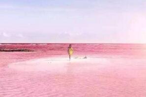 希勒湖为什么是粉色的，因藻类变异结论已被推翻