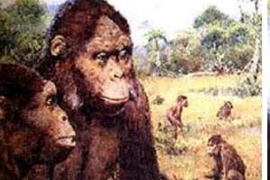 野女人扎娜之谜，未进化的猿与人类生下4个孩子(非洲猿)